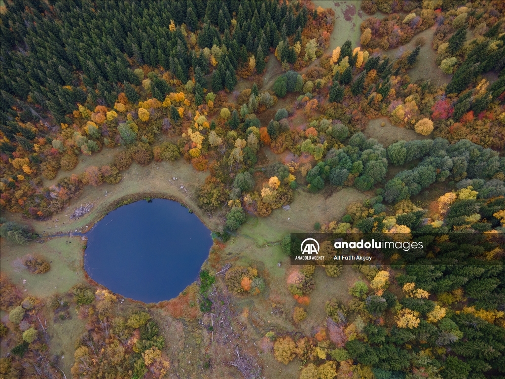 Autumn in Turkiye's Artvin