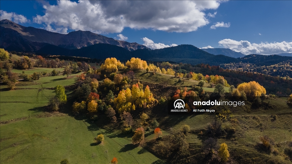 Autumn in Turkiye's Artvin