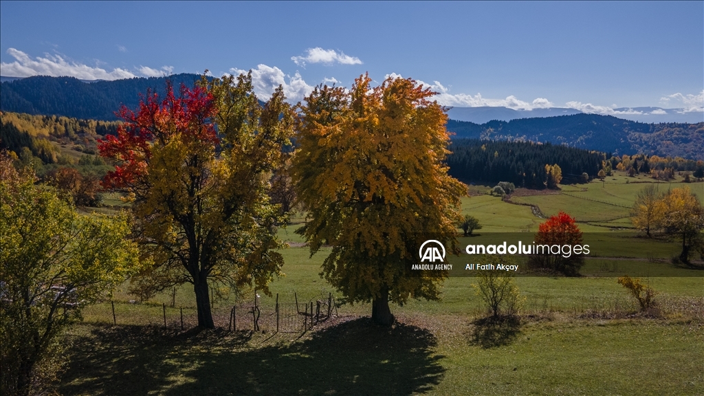 Autumn in Turkiye's Artvin