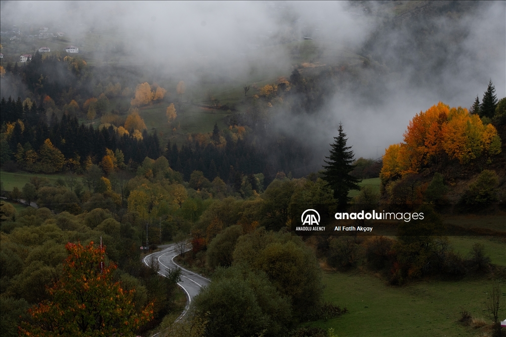 Autumn in Turkiye's Artvin