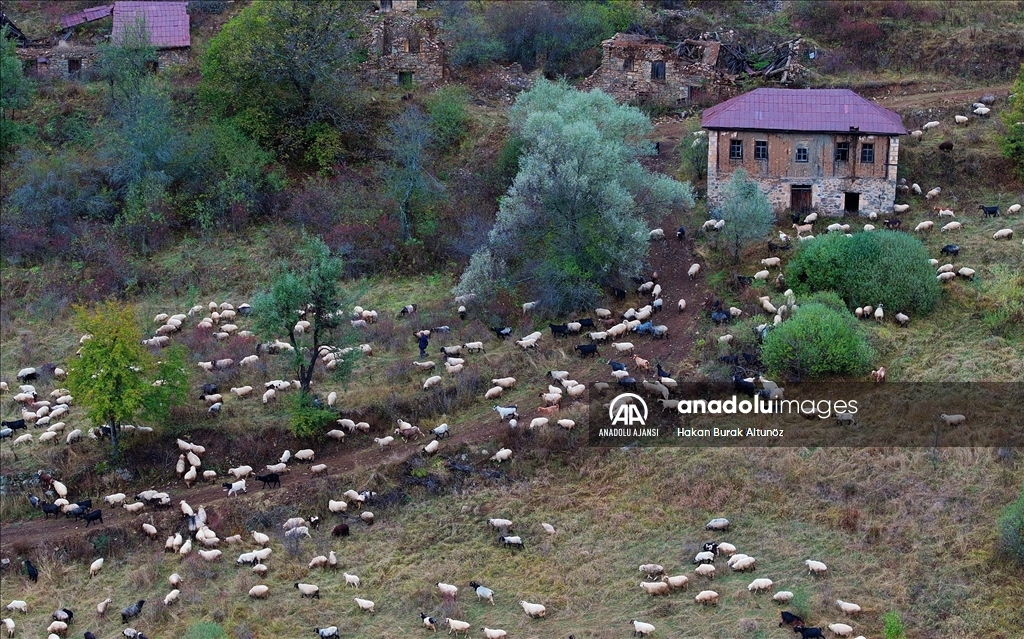 Zigana Dağı sonbahar renklerine büründü