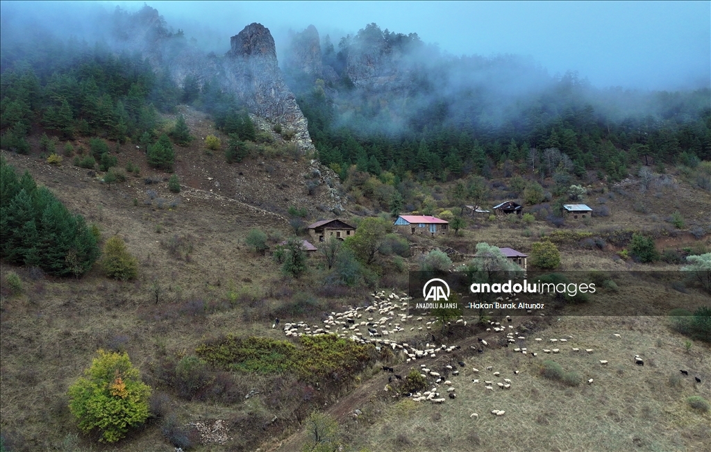 Zigana Dağı sonbahar renklerine büründü