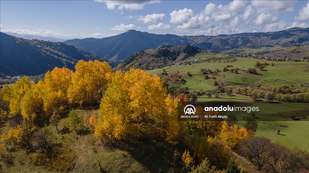 Autumn in Turkiye's Artvin