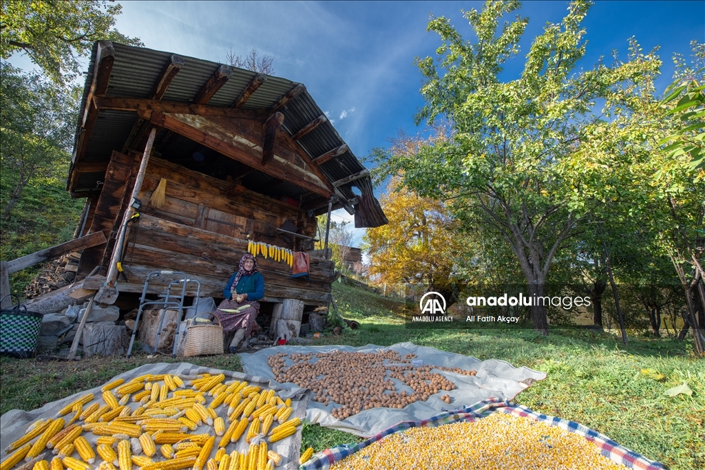 Autumn in Turkiye's Artvin