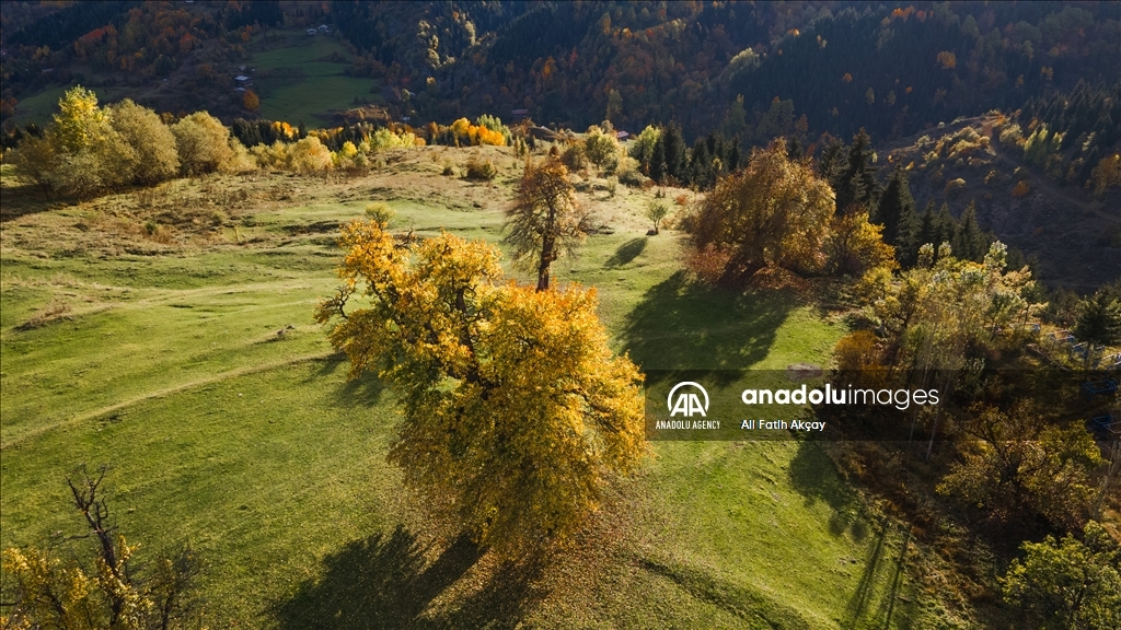 Autumn in Turkiye's Artvin