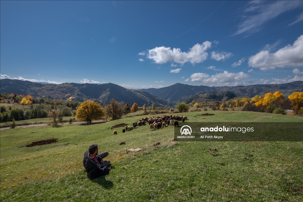 Autumn in Turkiye's Artvin