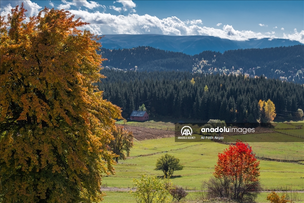 Autumn in Turkiye's Artvin