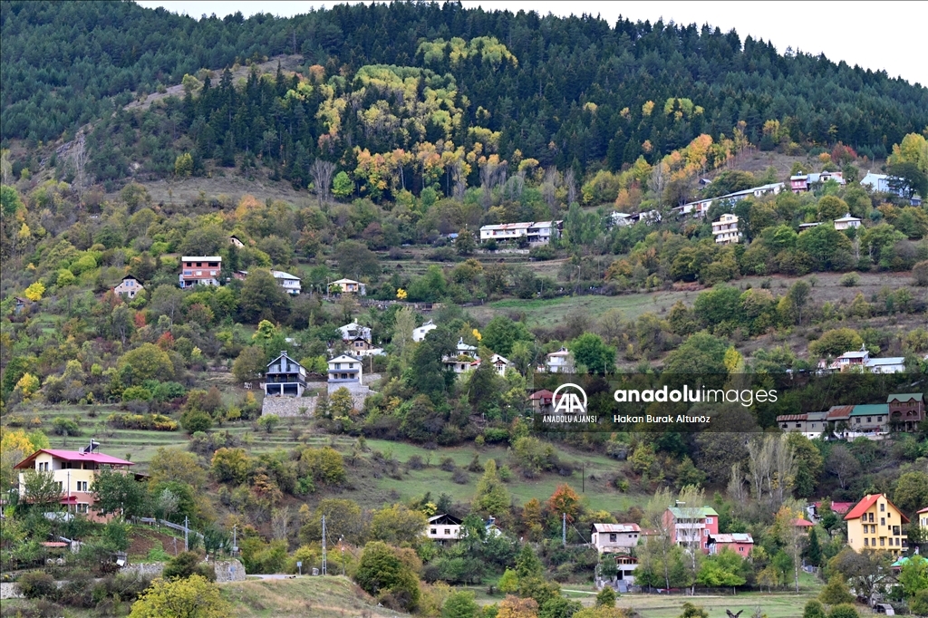 Zigana Dağı sonbahar renklerine büründü