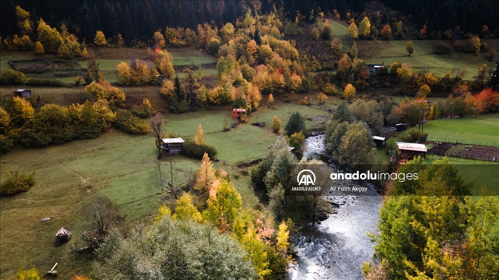 Autumn in Turkiye's Artvin