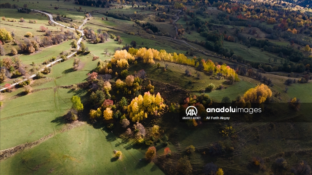 Autumn in Turkiye's Artvin