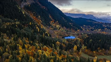 Autumn in Turkiye's Artvin