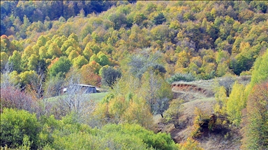 Sivas'ta sonbahar manzaraları