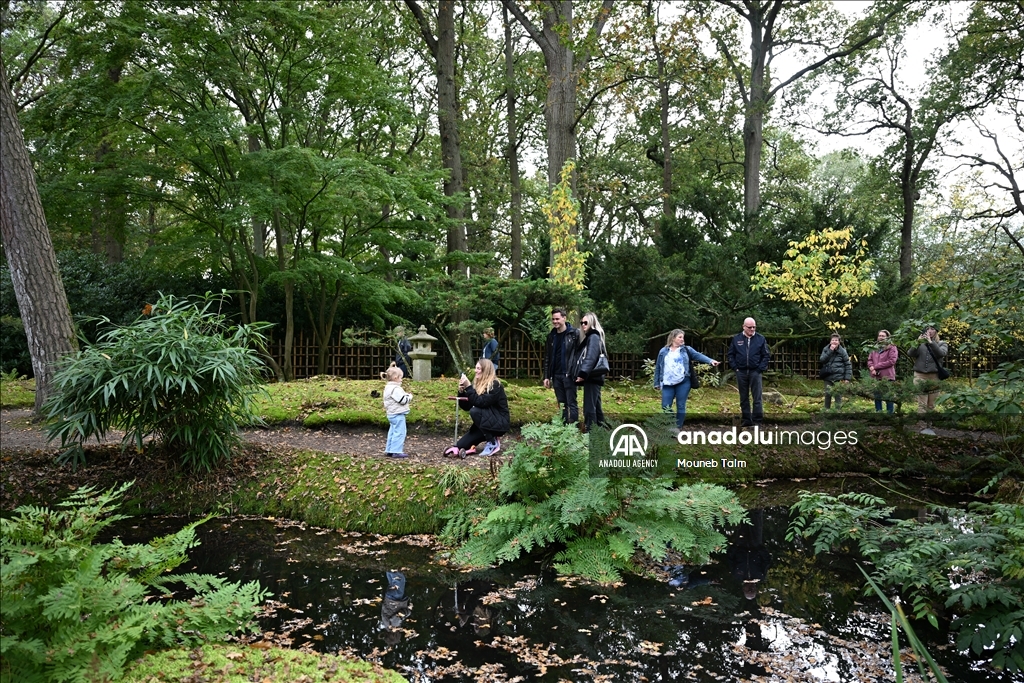 Largest Japanese Garden in the Netherlands reopens to its visitors