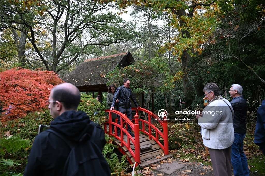 Largest Japanese Garden in the Netherlands reopens to its visitors