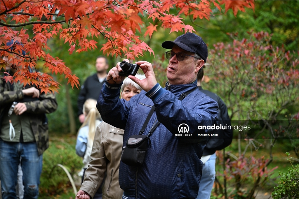 Largest Japanese Garden in the Netherlands reopens to its visitors