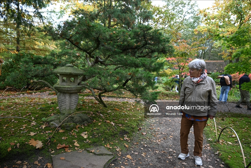 Largest Japanese Garden in the Netherlands reopens to its visitors