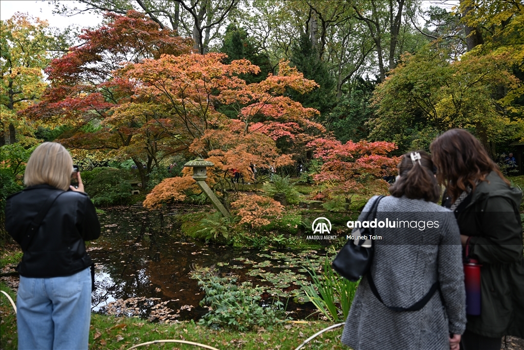 Largest Japanese Garden in the Netherlands reopens to its visitors