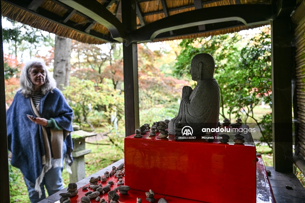 Largest Japanese Garden in the Netherlands reopens to its visitors