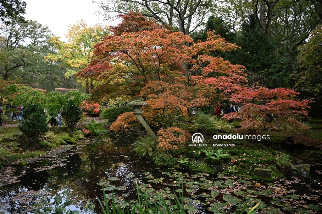 Largest Japanese Garden in the Netherlands reopens to its visitors