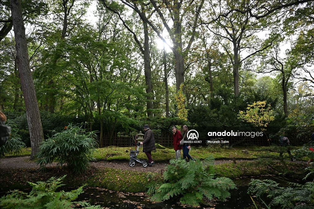 Largest Japanese Garden in the Netherlands reopens to its visitors