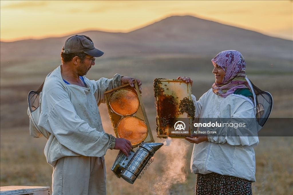 Hayal Dağı'nda bal hasadı devam ediyor