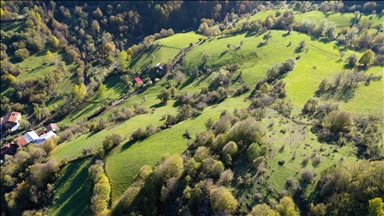 "Anadolu'nun yüce dağı" Ilgaz'da kış ve sonbahar aynı anda yaşanıyor