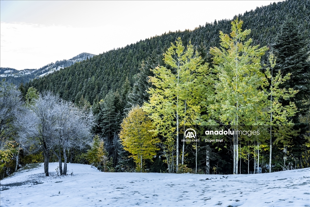 Artvin'de sonbahar ve kış aynı karede buluştu