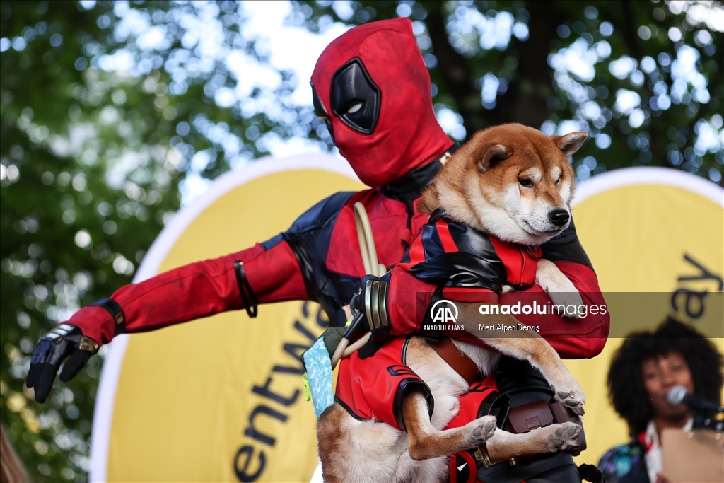 Kanada'da Cadılar Bayramı etkinliği kapsamında 'Kostümlü Köpek Geçidi' düzenlendi