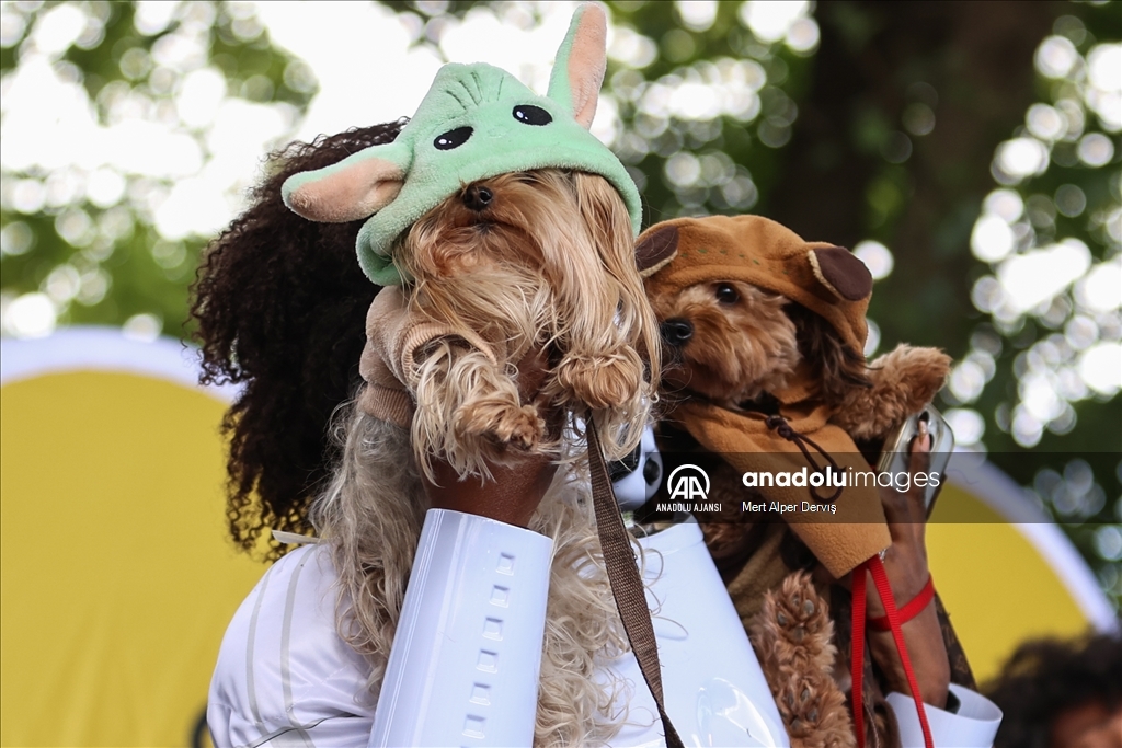 Kanada'da Cadılar Bayramı etkinliği kapsamında 'Kostümlü Köpek Geçidi' düzenlendi