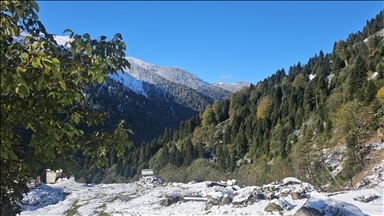 Rize'nin yüksek kesimlerine kar yağdı