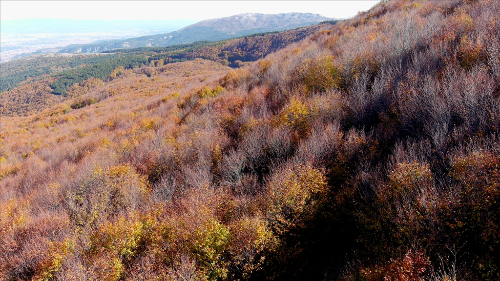 Гора Бойалы в турецкой Кутахье окрасилась в цвета осени