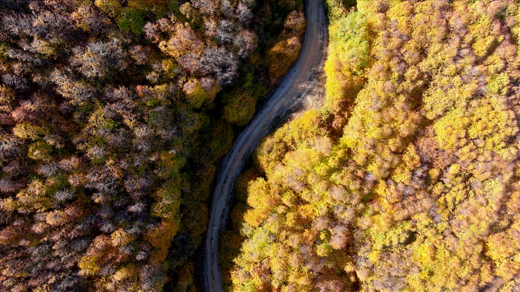 Гора Бойалы в турецкой Кутахье окрасилась в цвета осени