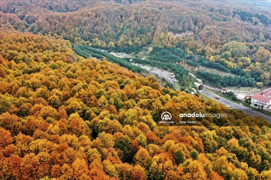 Anadolu Otoyolu'nun Bolu Dağı kesimi sonbahar renkleri arasında yolculuk imkanı sunuyor