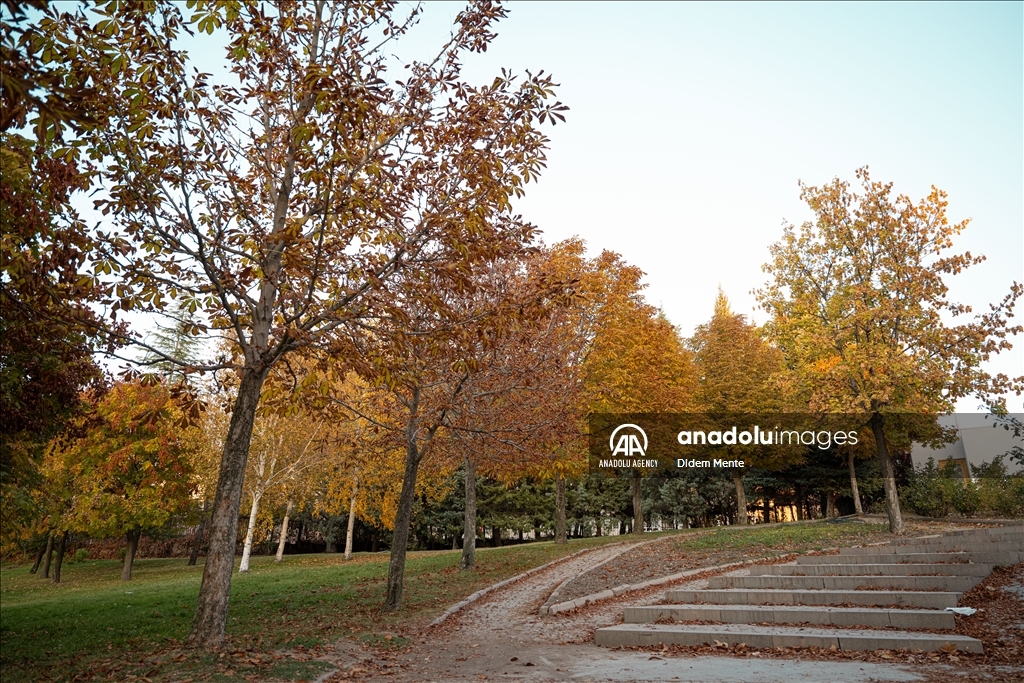 Autumn season in Ankara