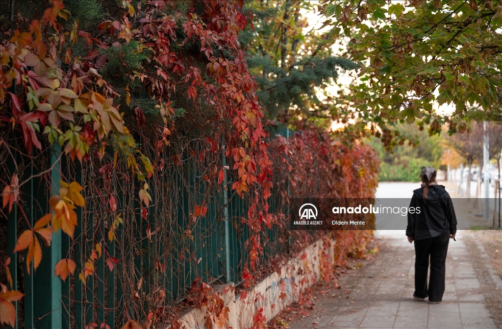 Autumn season in Ankara