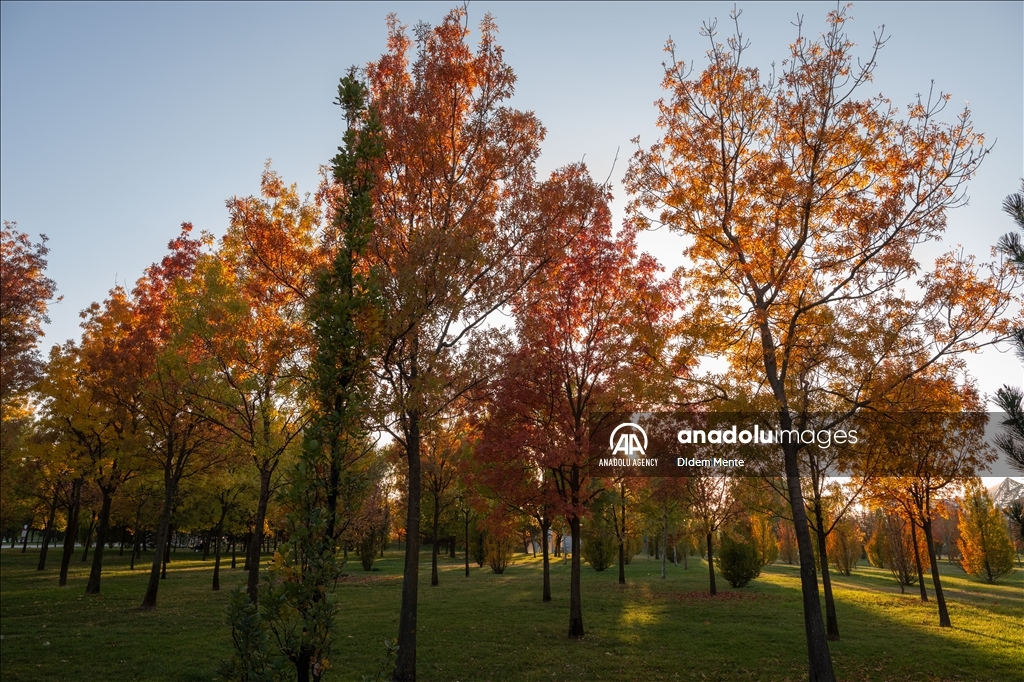 Autumn season in Ankara