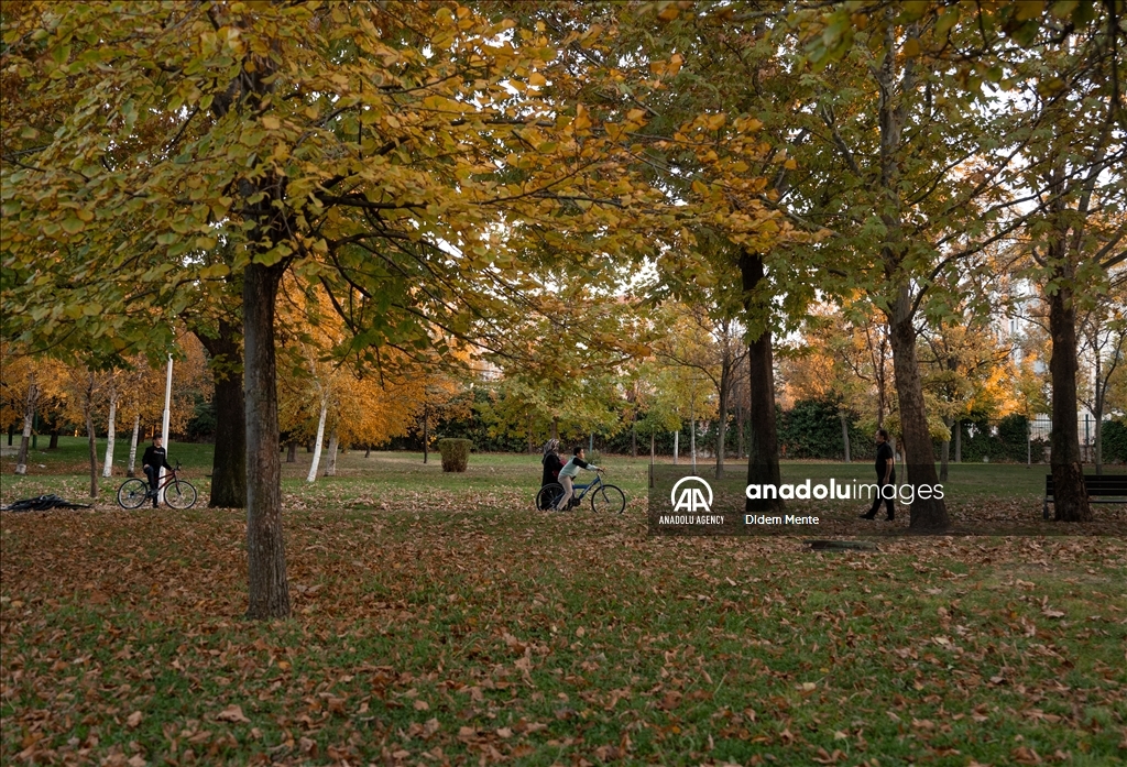 Autumn season in Ankara