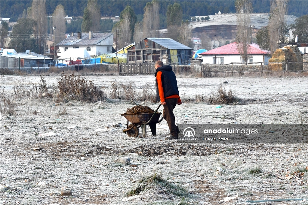 Kars'da soğuk hava ve kırağı etkili oldu