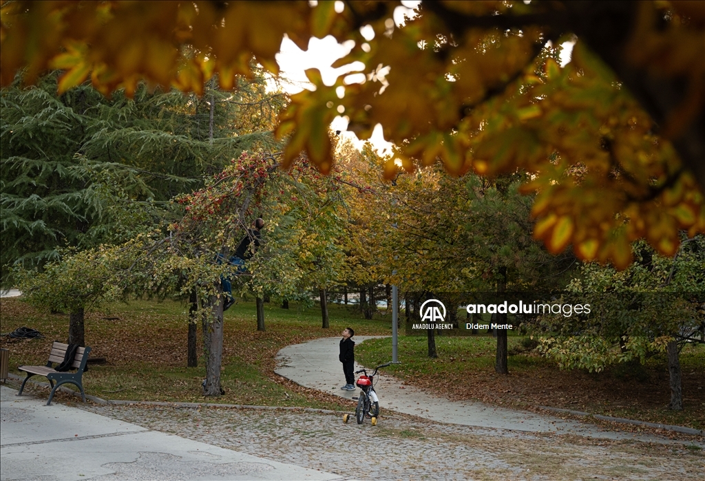 Autumn season in Ankara