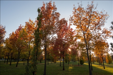 Autumn season in Ankara