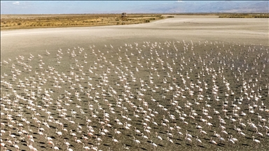 Drought in Konya's Akgol wetland