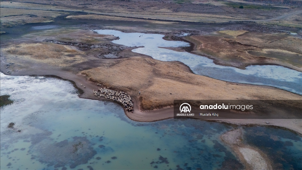 Dicle Nehri'nde kuraklığın olumsuz etkileri