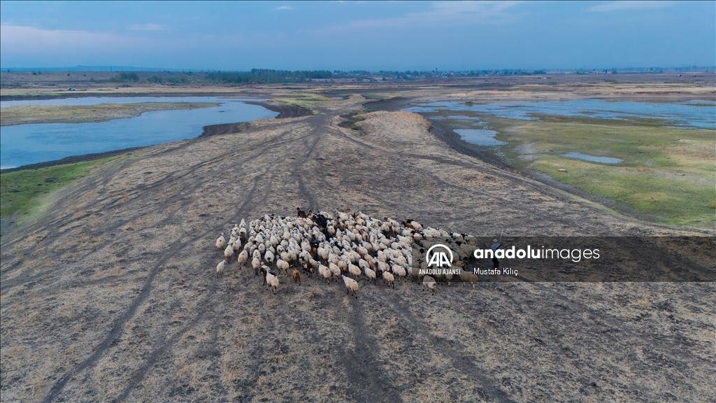 Dicle Nehri'nde kuraklığın olumsuz etkileri