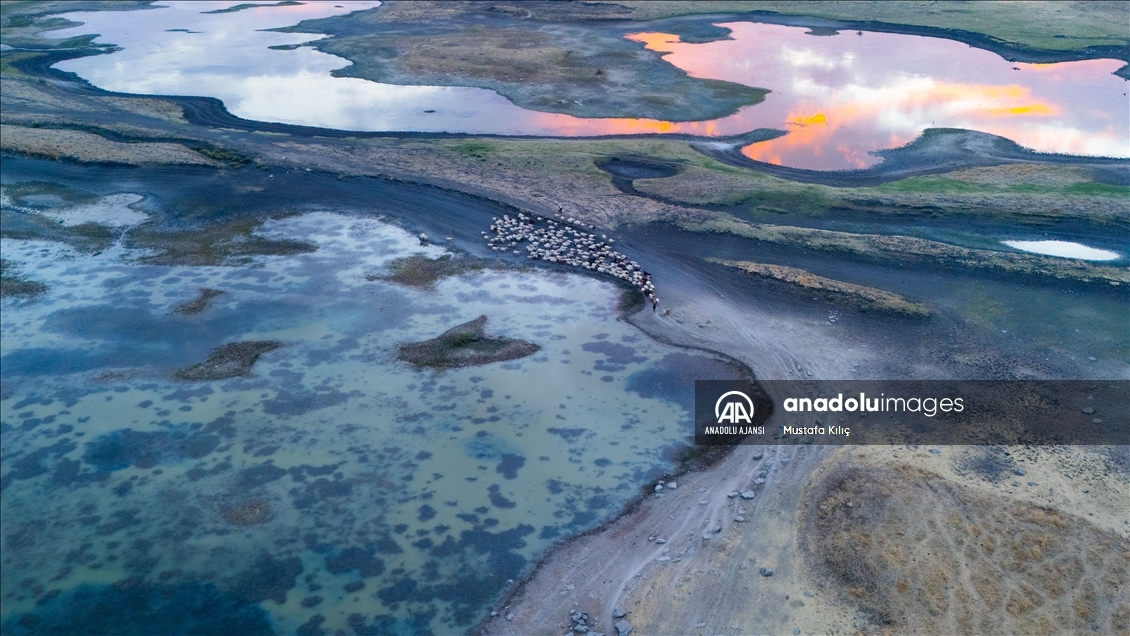 Dicle Nehri'nde kuraklığın olumsuz etkileri