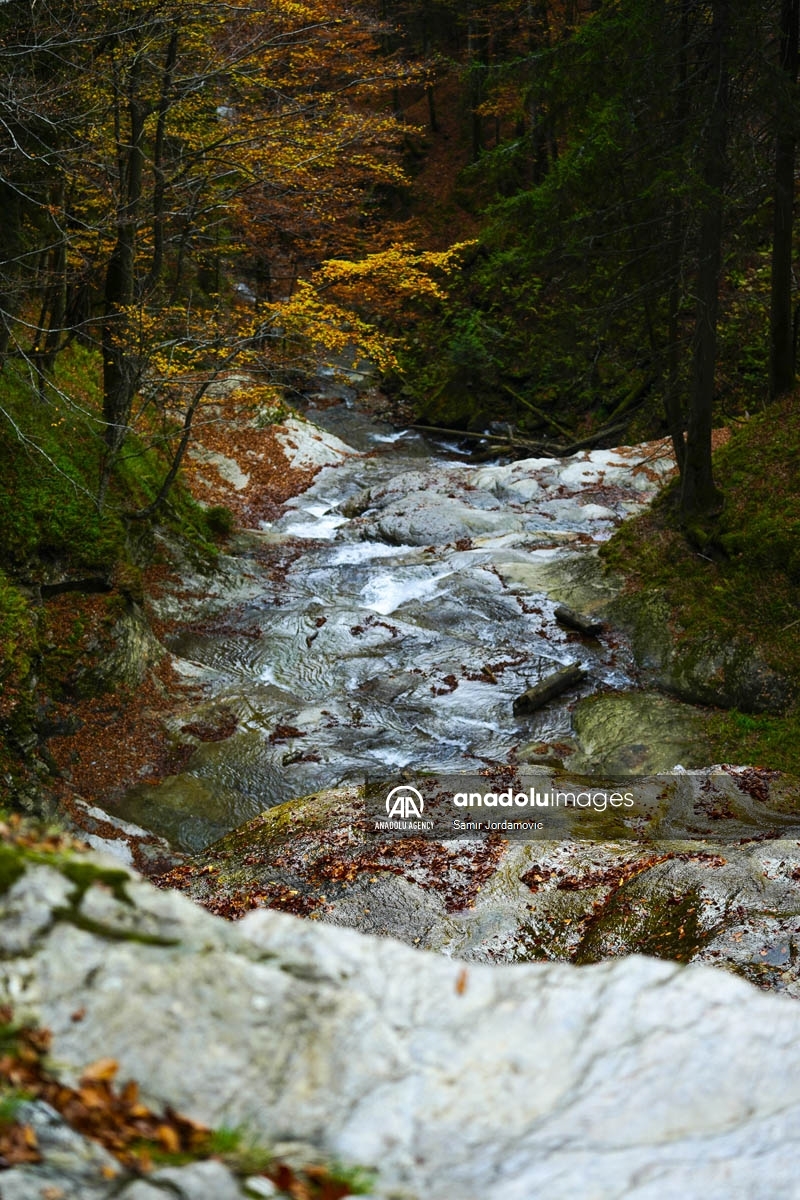 Скриен шумски рај - есен кај водопадите Козице