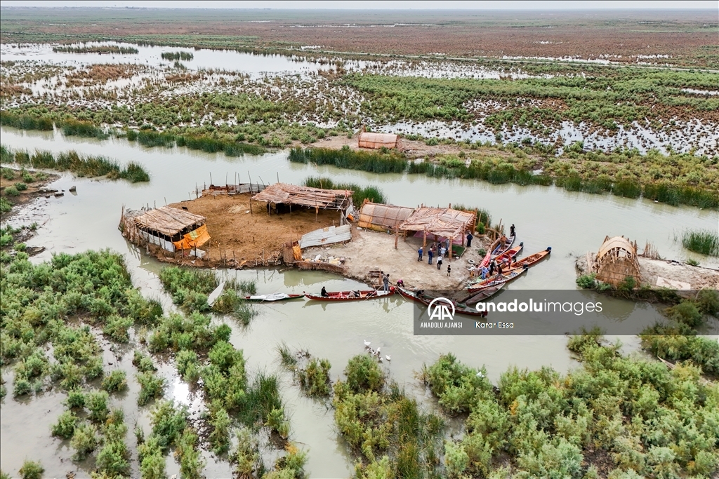 Mezopotamya'nın saklı güzelliği Irak'taki Bataklıklar turistlerin ilgi odağı oldu