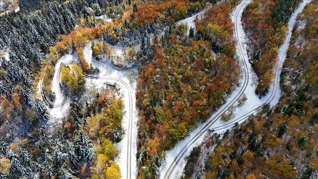 Artvin'de kar yağışı