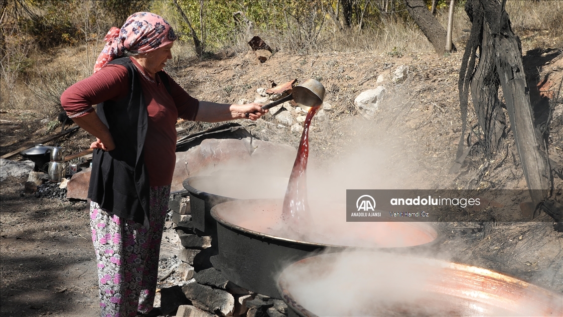 Toroslar'dan sofralara uzanan lezzet "andız pekmezi"