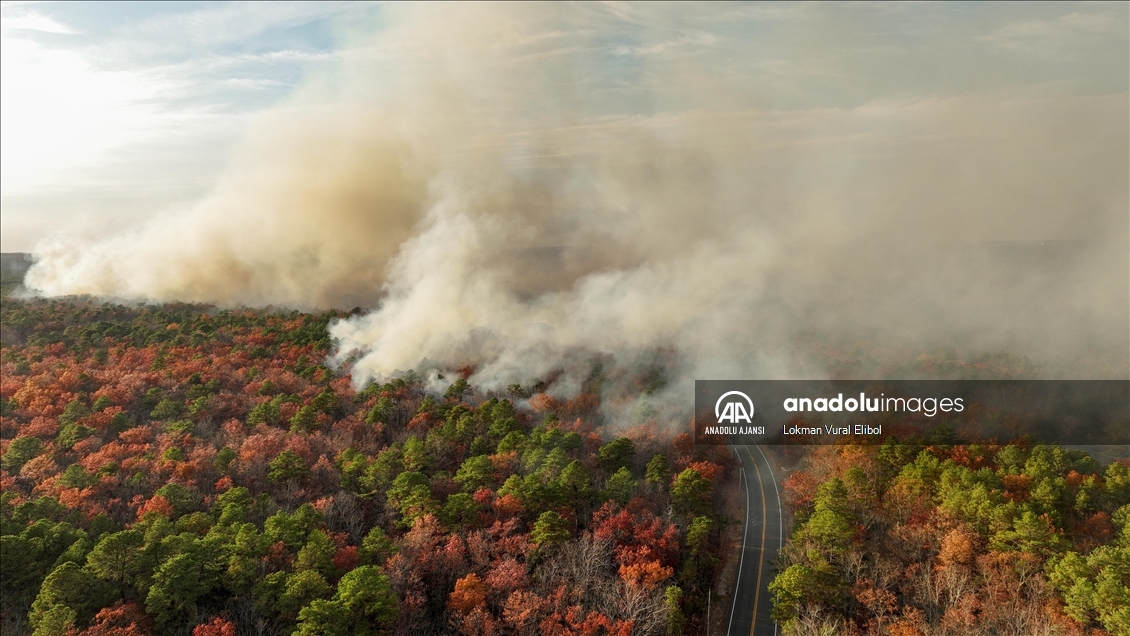 ABD'nin New Jersey eyaletinde orman yangını