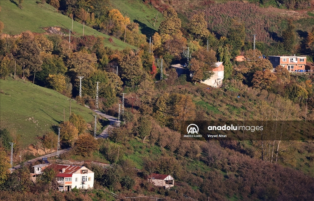 Samsun'da Nebiyan Dağı sonbahar renklerine büründü